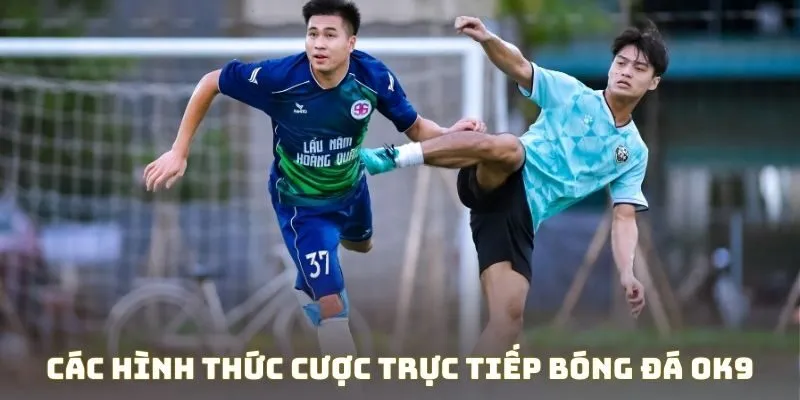 Các hình thức cược trực tiếp bóng đá OK9